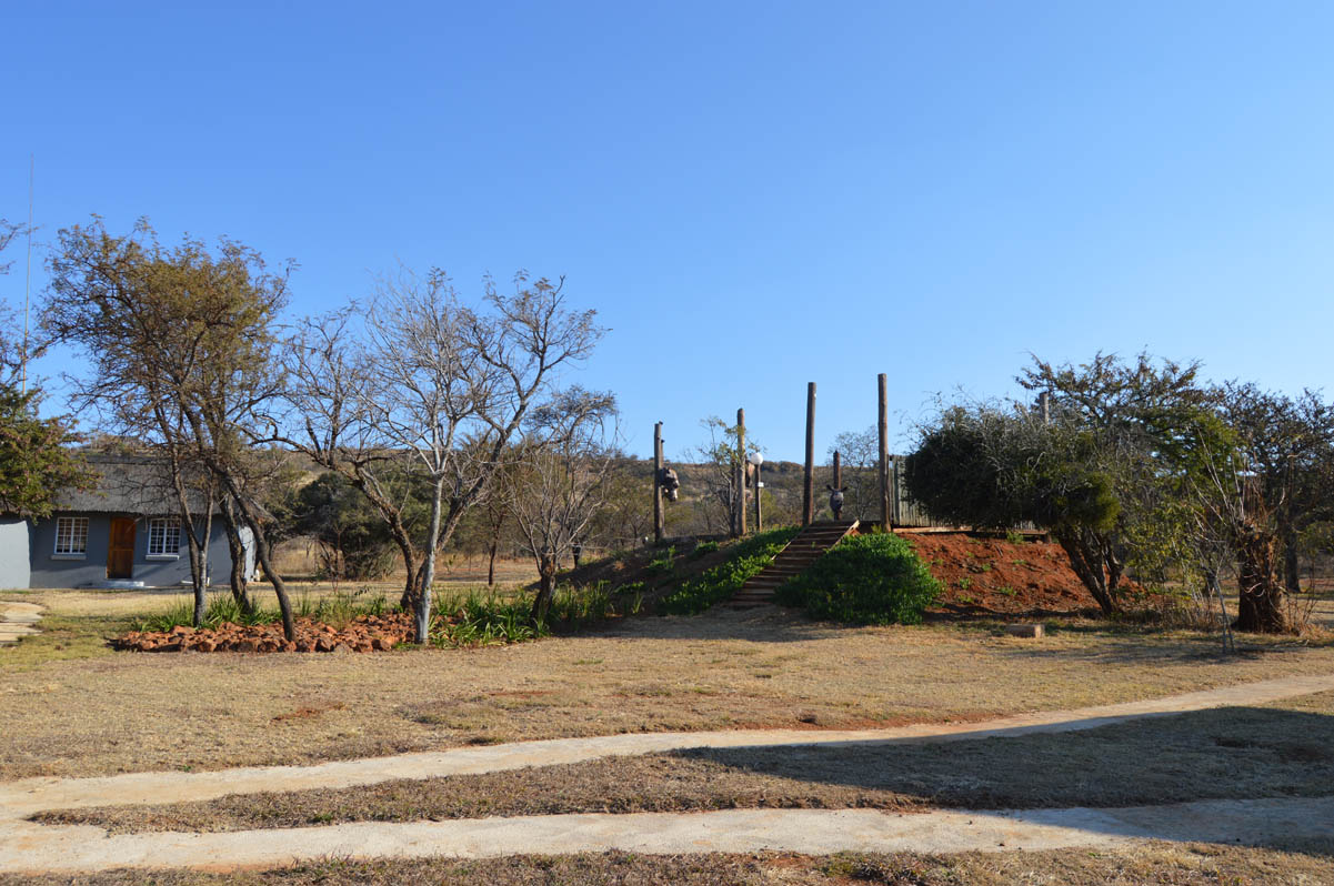 View of the bush chalets pool